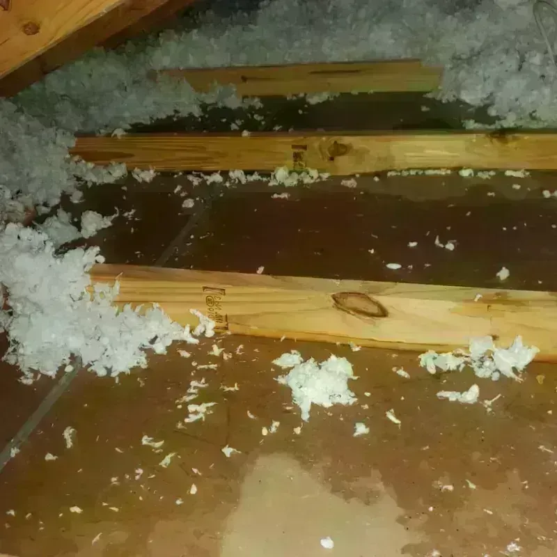 Attic Water Damage in Essex Junction, VT